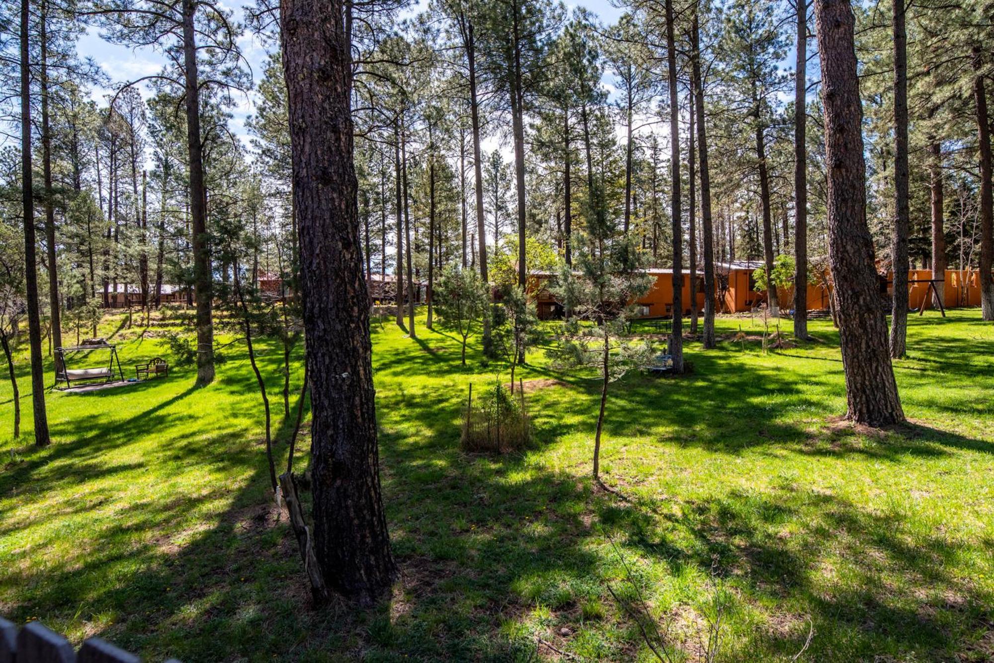Rustic Pines Retreat Villa Ruidoso Kamer foto